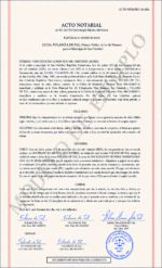 ACTO NOTARIAL (HASTA 29 LÍNEAS)